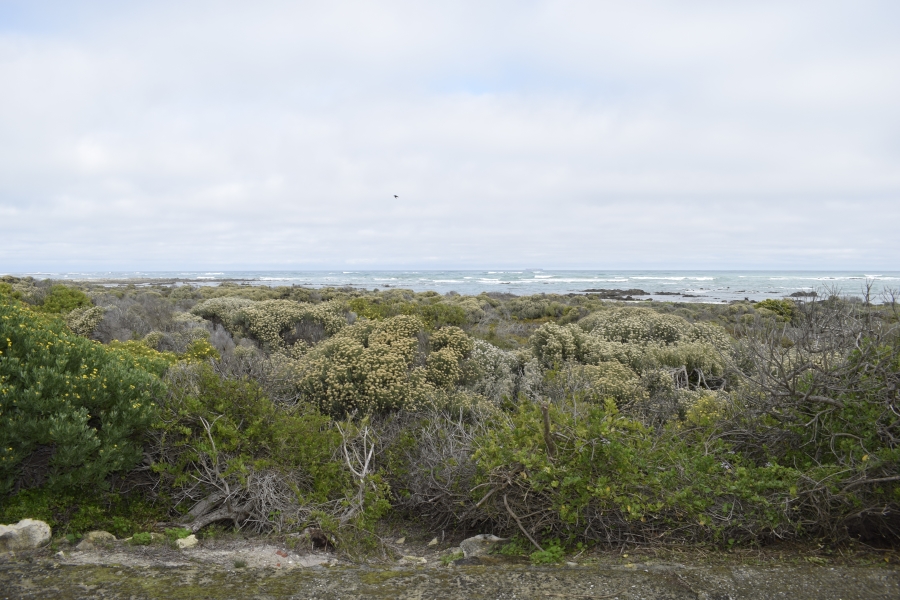 6 Bedroom Property for Sale in Suiderstrand Western Cape